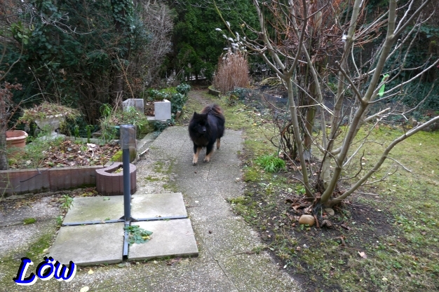 11.12.2025 - Auf zum Geburtstagspiel